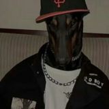 Memesta - official dog house