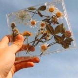 |Беседка|🍵