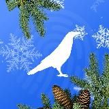 Белый Ворон | Крипто | White Raven