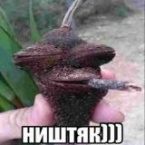 kofe_production ништяк)))