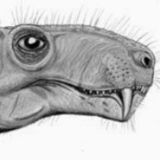 Набережная Кагала Грибоедова