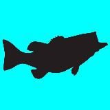 FISHING|РЫБНЫЙ МИР