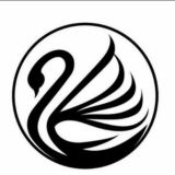 STRATEGI OLYMPTRADE