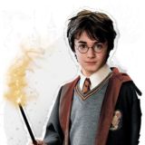 Гарри Поттер. Тесты. Обсуждения