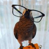 Видемяшка Анекдоты \ Мемы