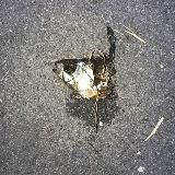 Ж𐍔𐌛н𐌀𐌡 Н𐌏𐌘𐌜