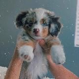 🌿༄︎𝑫𝒊𝒂𝒎𝒐𝒏𝒅𝒙𝒔𝒆𝒍𝒇༄︎💎