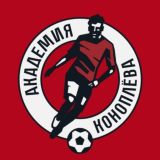 Чат Академии