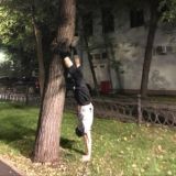 гастроли по москве