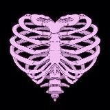 `сердце правды.`♡`