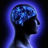 ТАЙНОЕ СООБЩЕСТВО