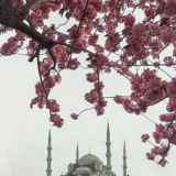 АС | ПЕРЕХОДНИК