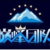 【巅峰】 僵尸粉 飞机号 引流 排名 真人粉