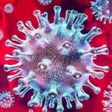 COVID19 Ростов-на-Дону и Ростовская область