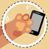 🏄🏼 Таверна СММ | РАБОТА | ВАКАНСИИ