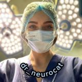 NEUROCAT: заметки нейрофизиолога Chat