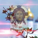 KERIGMA_прот. Игорь Рябко