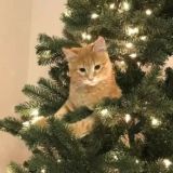 ˚˖࣪ ответик <3🎀