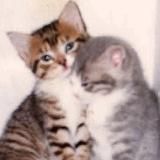 юнми тоталитаризм