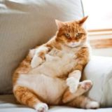 Латентные бизнесмены