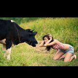 "Калмыцкие слухи"