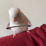 Смехуечки да пиздахаханьки и не только:) Chat