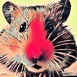 Новости от хомяка