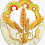 Дошкольное отделение "Колосок"