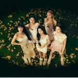 фанкамы с джи айдл | fancams (G) I-DLE