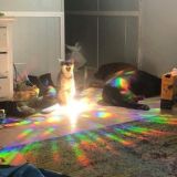 рисульки и забыл чё ещё