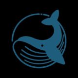 BAKIN👨💻CAPITAL