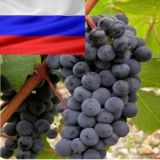 РВК рекомендует вина России