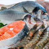 🦐🦐Креветка🦐🦐