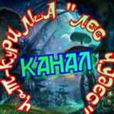 🏕️ ЛеС ЧудеС 🏕️