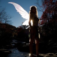 callanne couture Chat