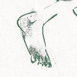 🌿Анастасия Рисулькер🩷 | Anastasia Lamkova