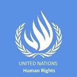 Комитет ООН. Женева.