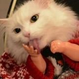 тейст зе community forever 🏳️‍🌈💫🏴😘🌎🔪🖤🌸💦💚🙌🌈