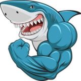 Владимир Островский - чат