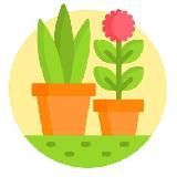 Флористика