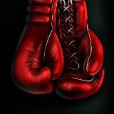 Real_boxing