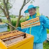 Пасека АДАМОВЫХ