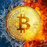Crypto News