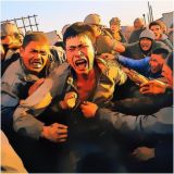 Правда про мигранта