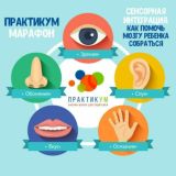 🎨 "СЕНСОРНАЯ ИНТЕГРАЦИЯ: как МАМЕ помочь мозгу РЕБЁНКА собраться"