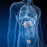 Эндокринолог Online