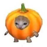 что я говорю психотерапевту