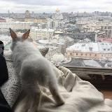 Смешнобыль