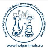 Благотворительный фонд помощи бездомным животным Екатеринбург