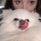 коментики ваши